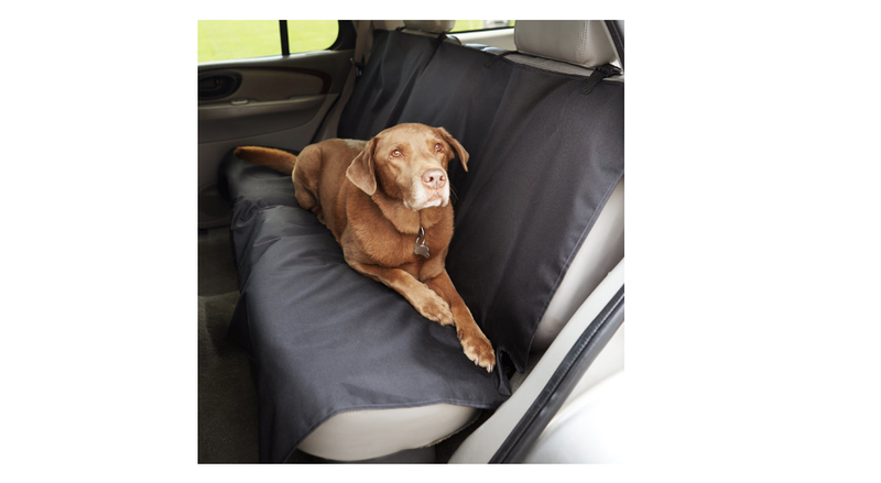 Illustration for article titled The Four Worst Car Things From Prime Day Are Somehow Also The BestÂ